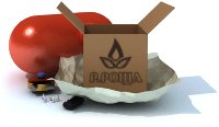 Установочный комплект ГБО Установочный комплект ГБО